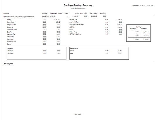 Employee Earnings Summary